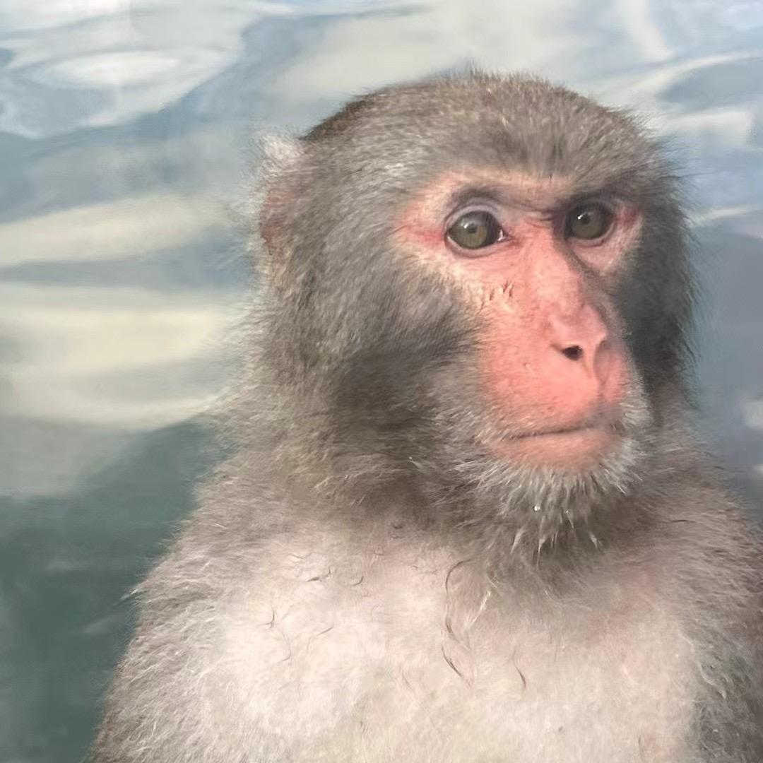 晓看天色暮看云☁️