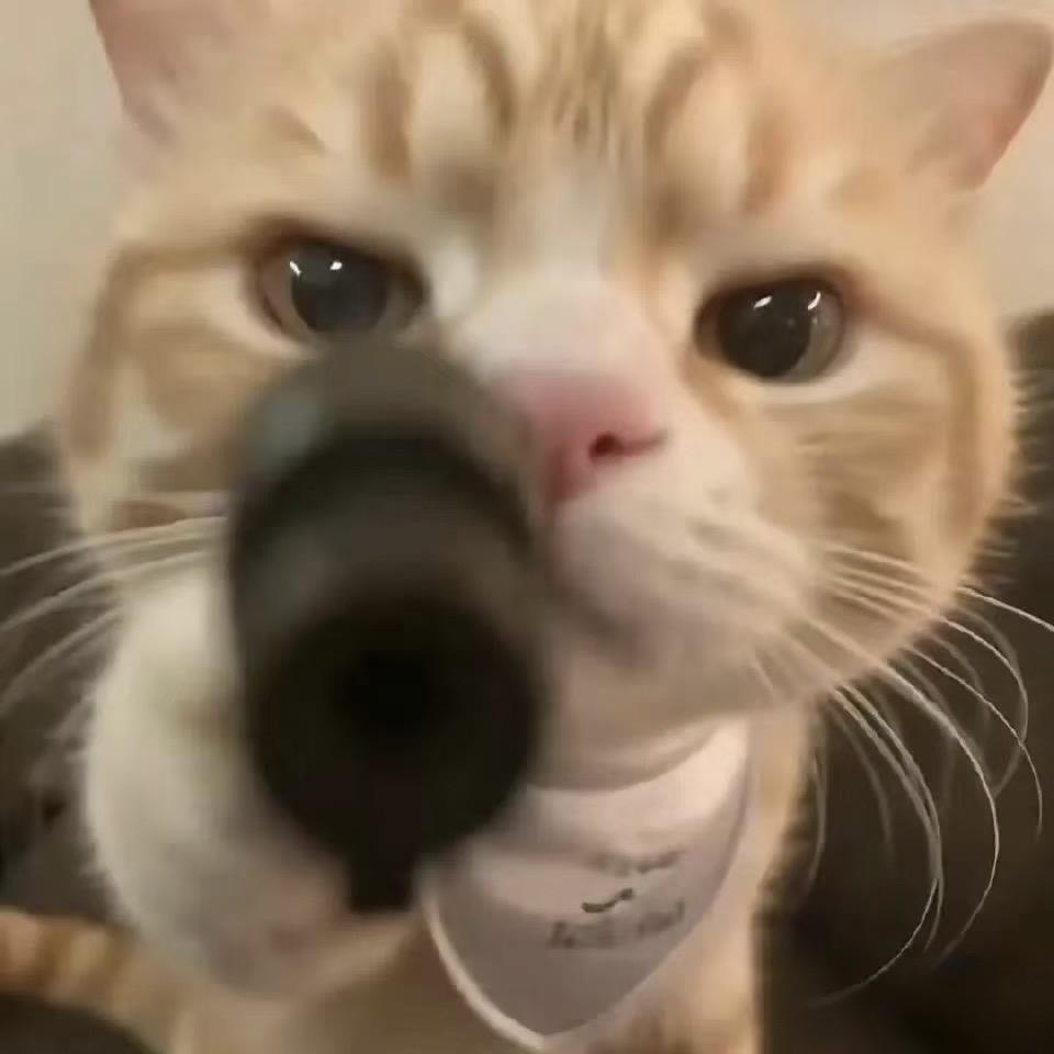 玲玲.