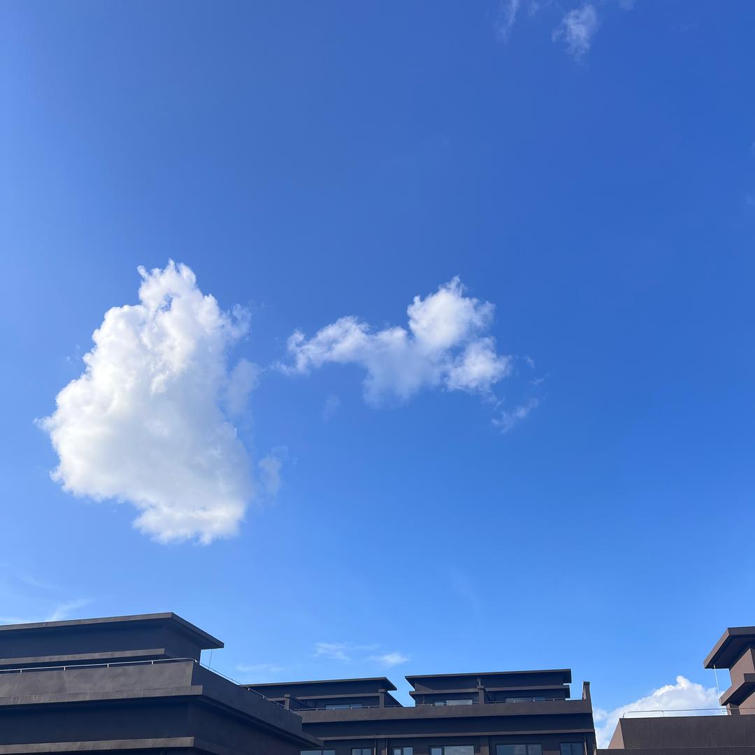 沐莀很晚睡