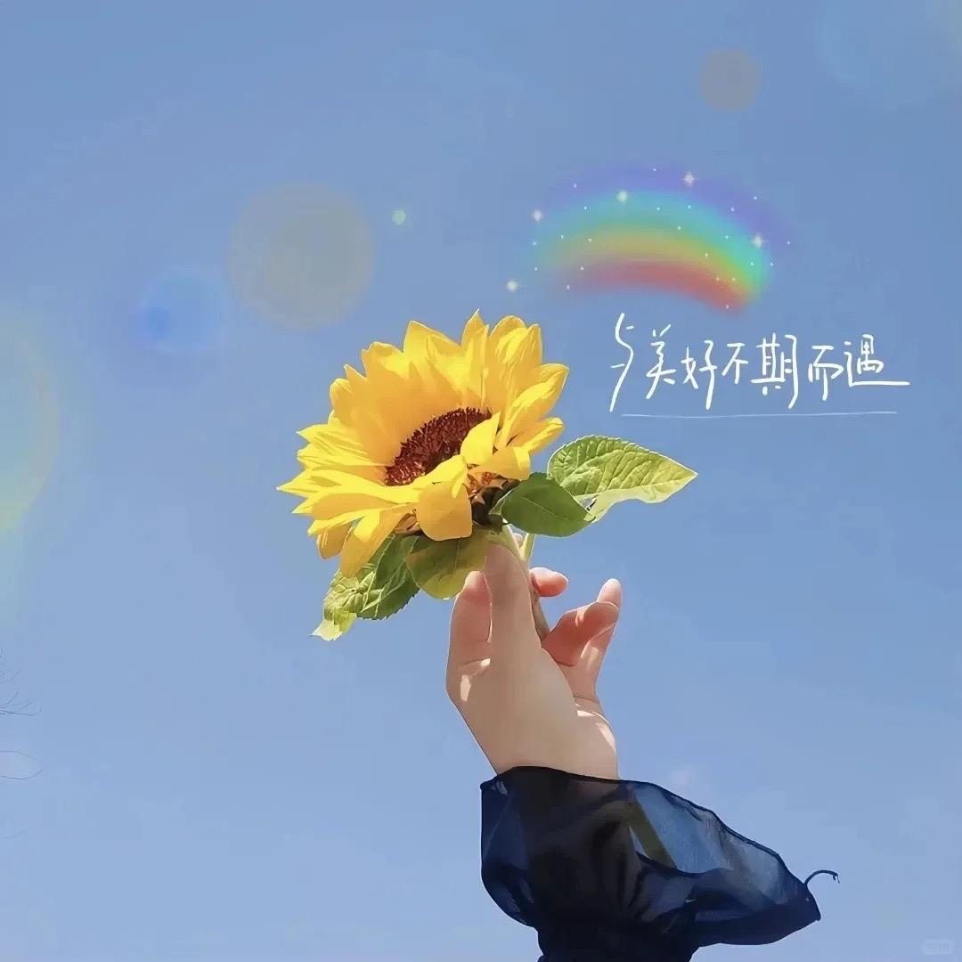 北街未雨🌧