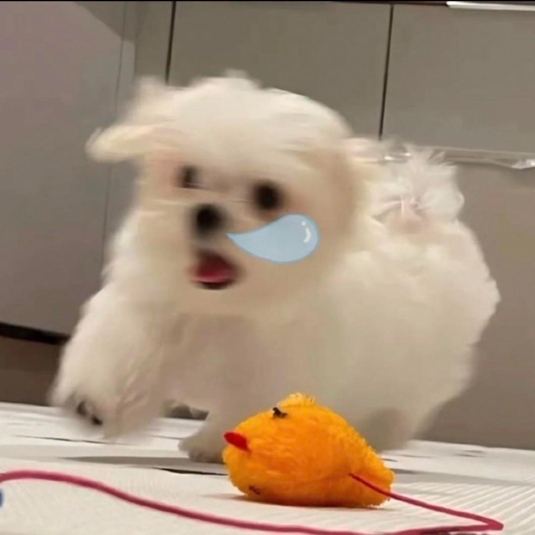 G G爆