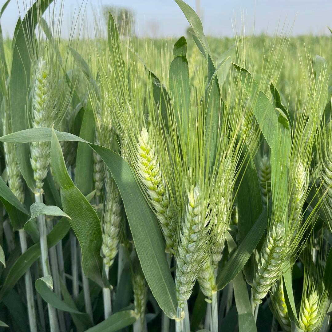 农之友乐合作社