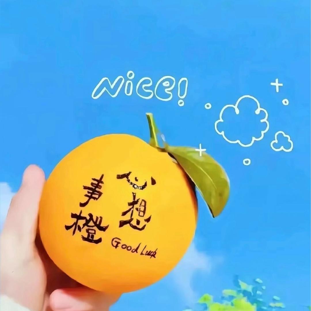 ✨✨le