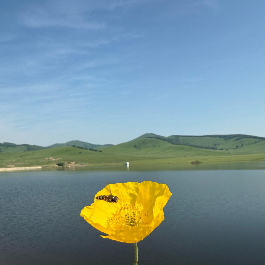 乌兰布统旅游888