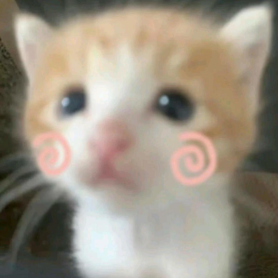 坏坏的像修猫