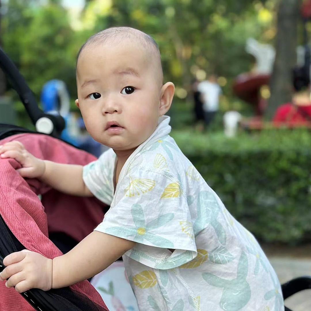 小布丁是个萌萌头