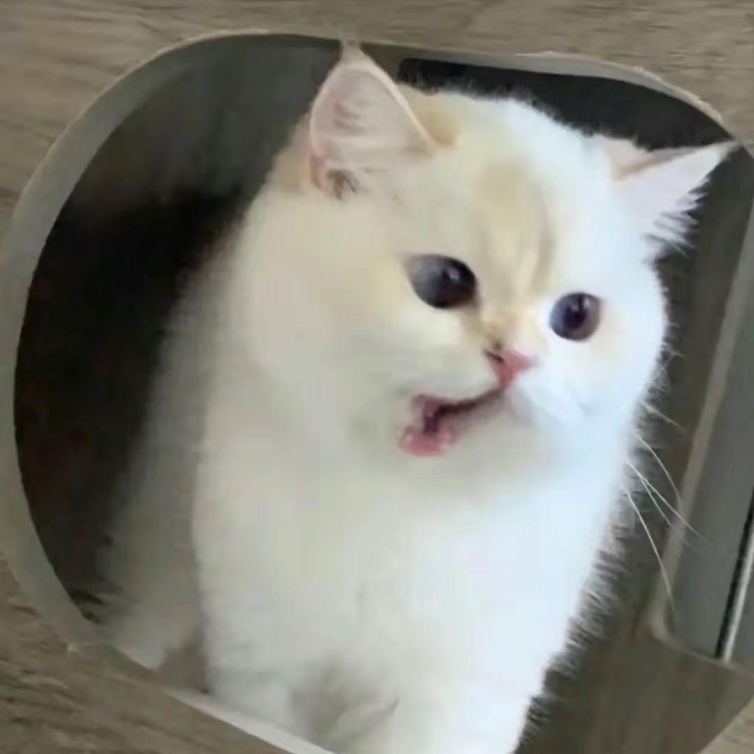 我最讨厌被人鸽