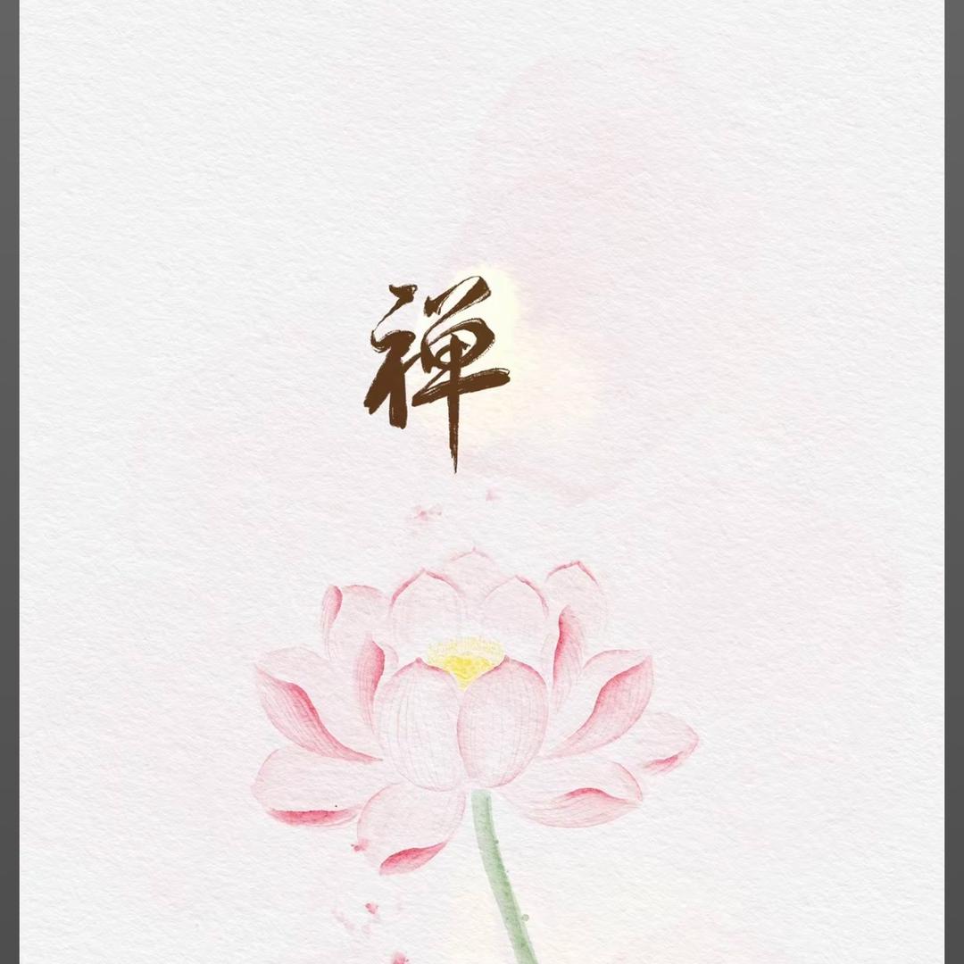 无净居士