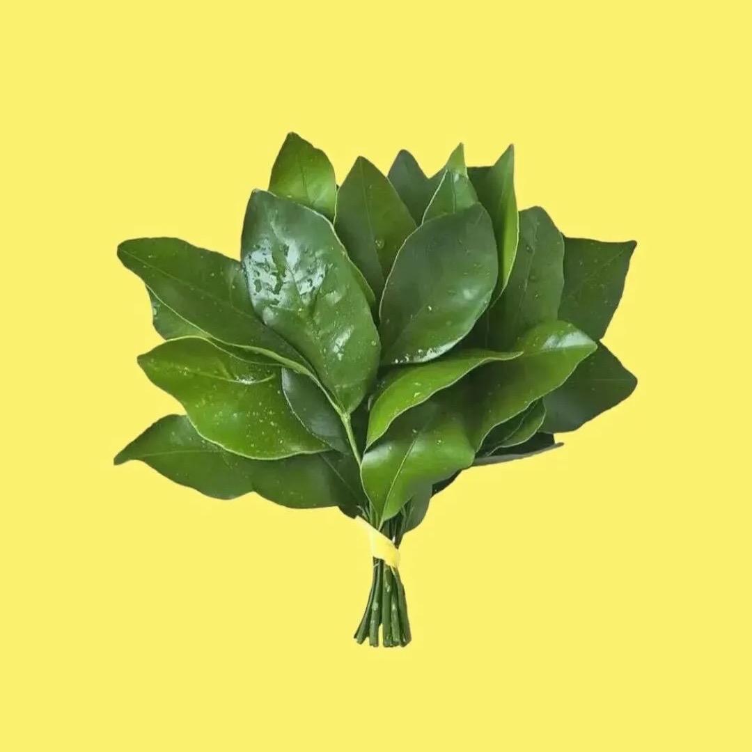 村里有个姑娘叫小芳🥳