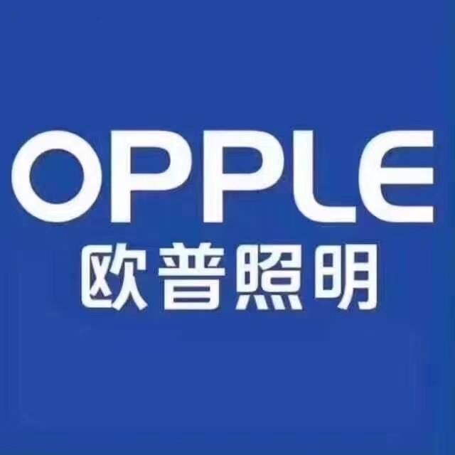 汉寿欧普照明小童