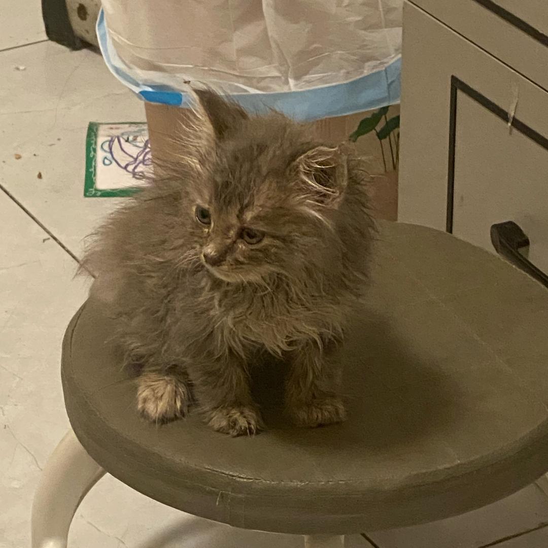 暗区突围，和平精英坐主°