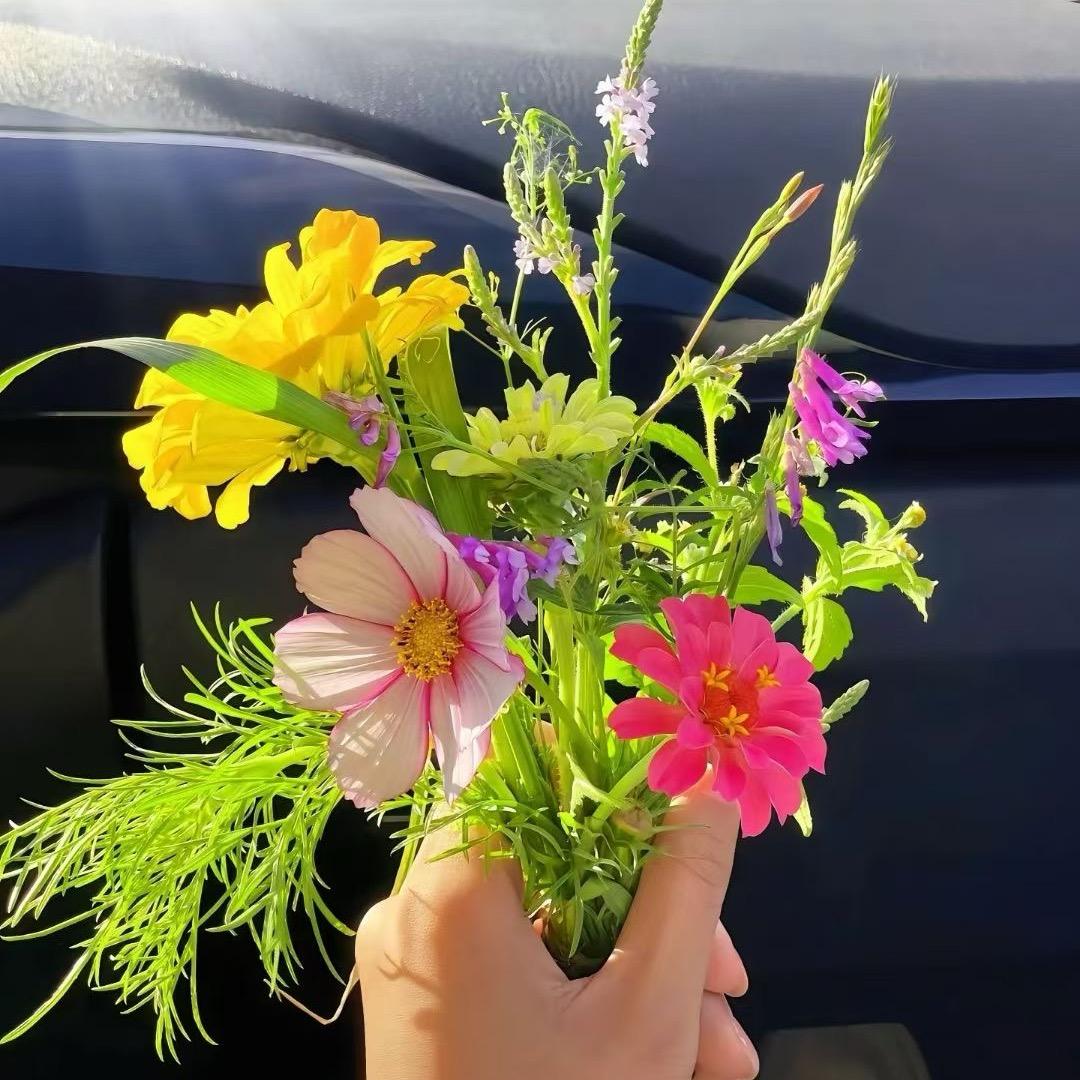 柠檬姑娘ʚ❤️ɞ