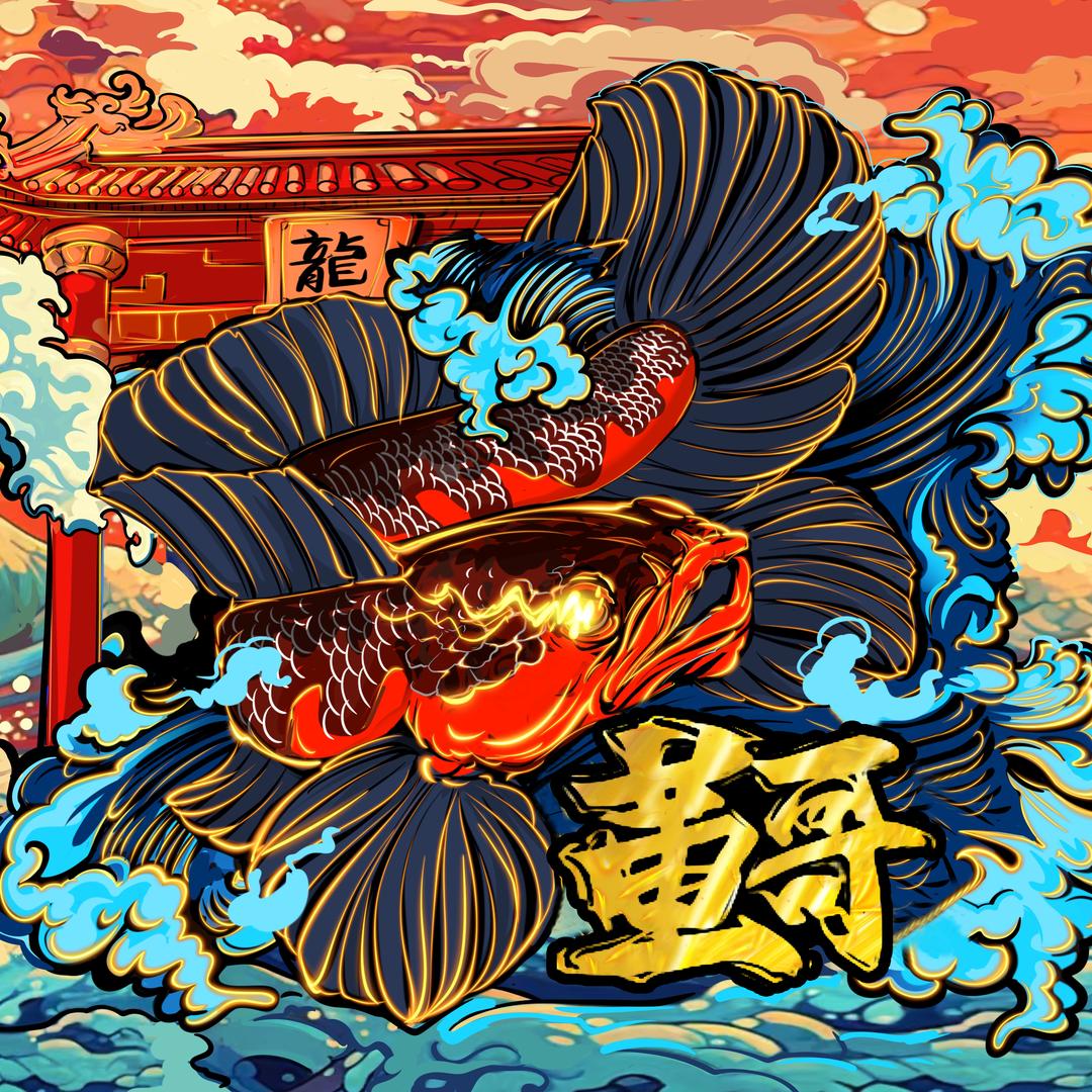 董不懂、黑鱼（女友版）