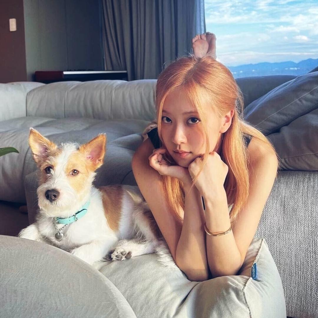 如果你也喜欢听陈奕迅