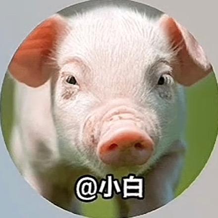 @小白