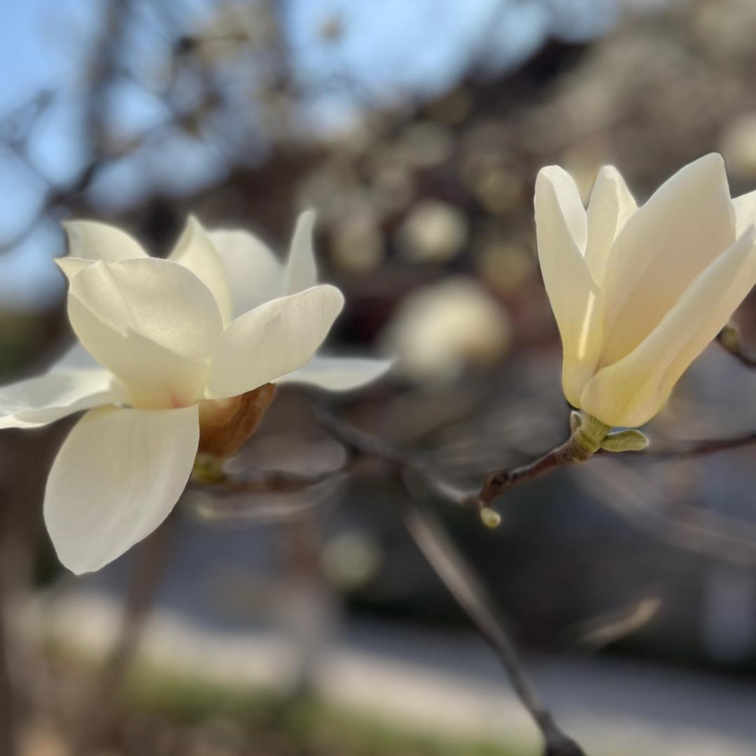 简单生活（相信美好，所以美好，留住美好）