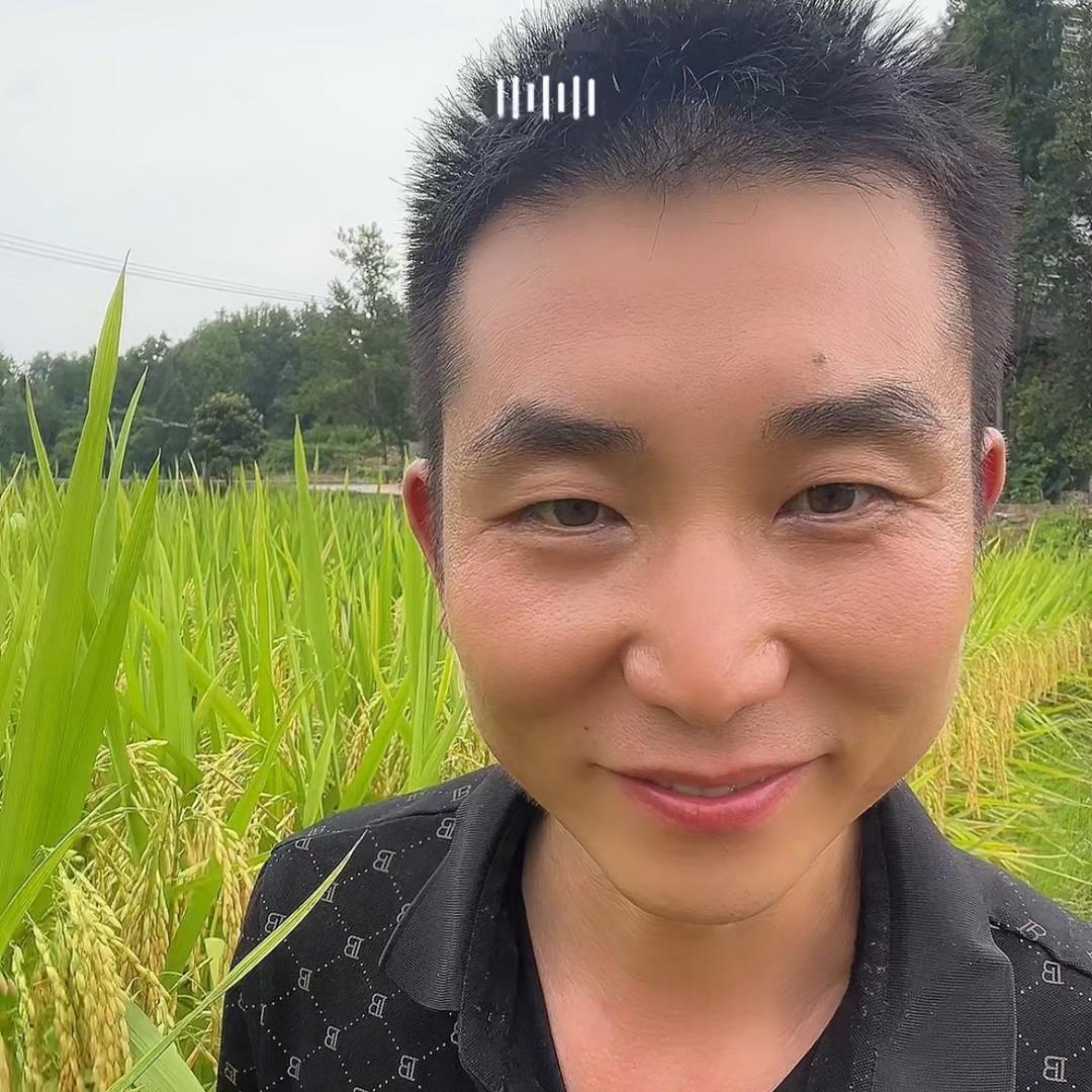 乡野显平527
