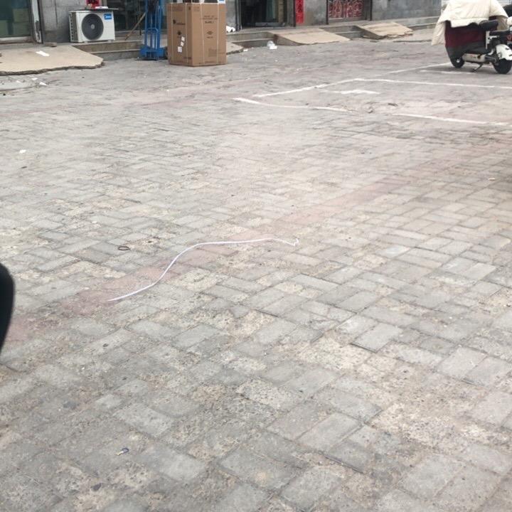 桃桃