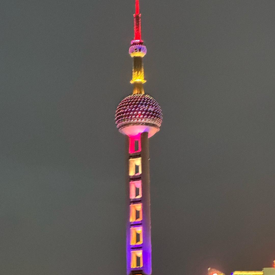 大辫子