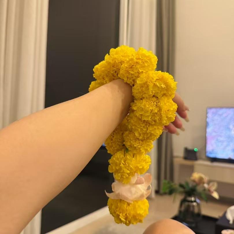 随心随意