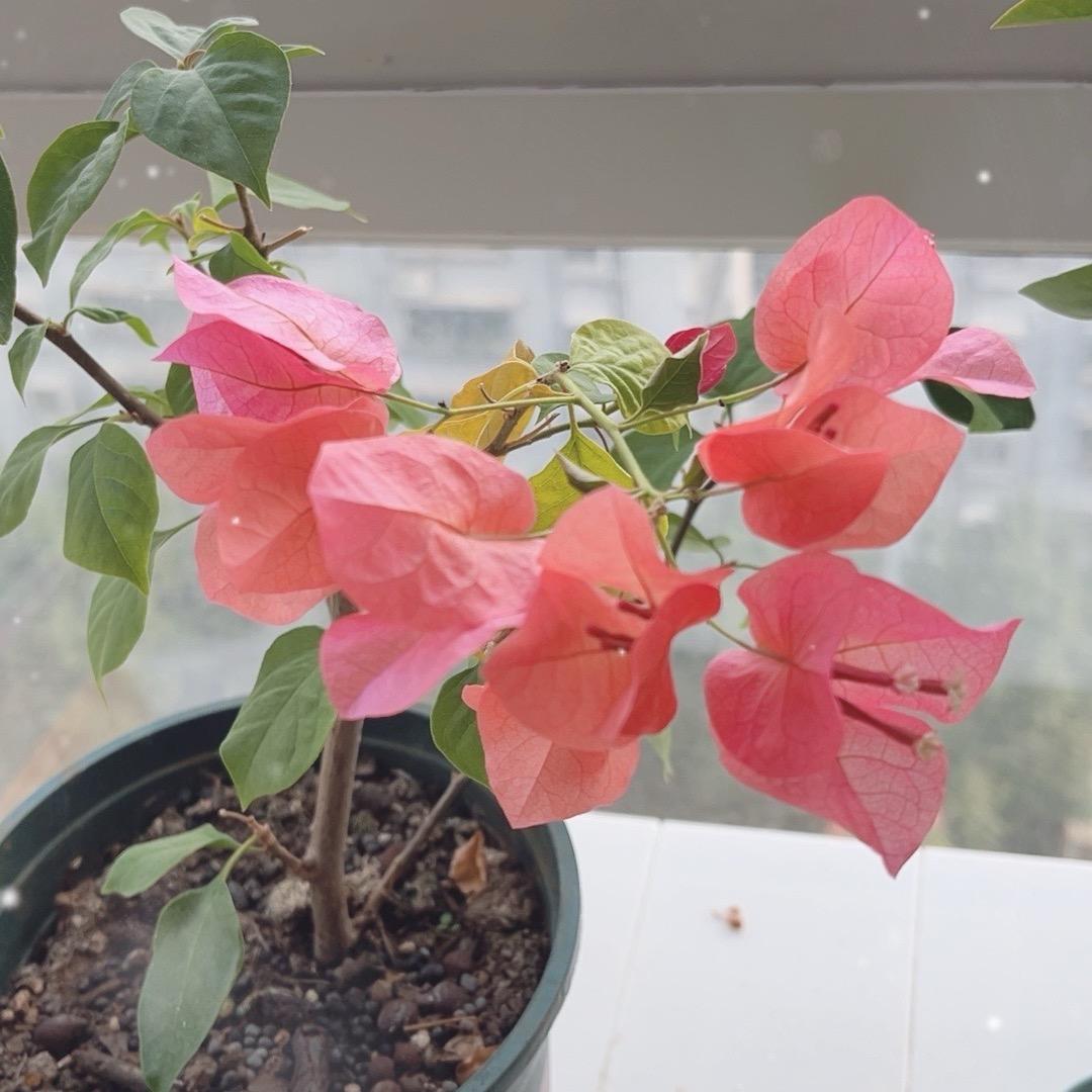 暴瘦暴富😀😊