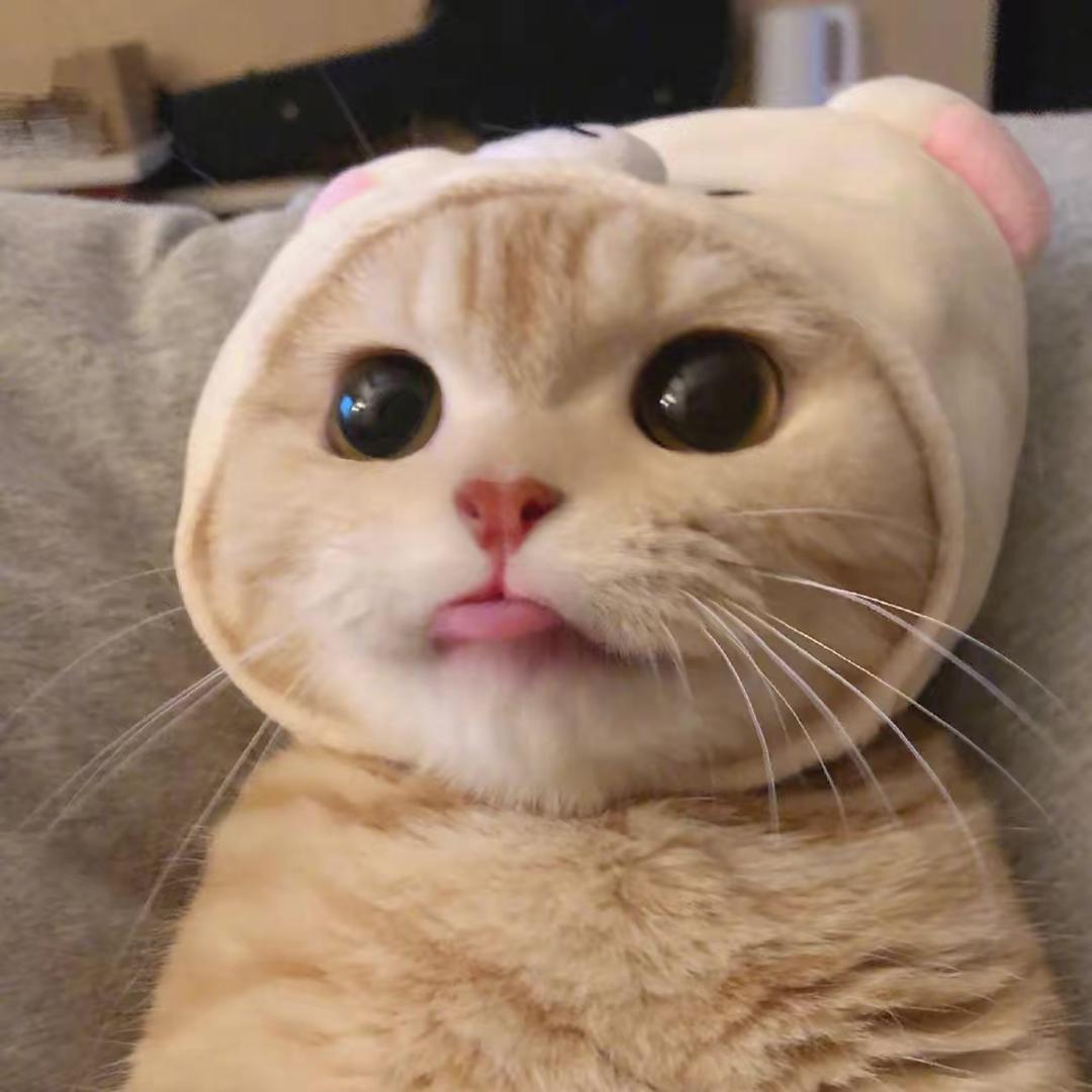 后来的我们