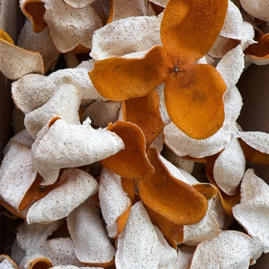 东江源果园陈皮