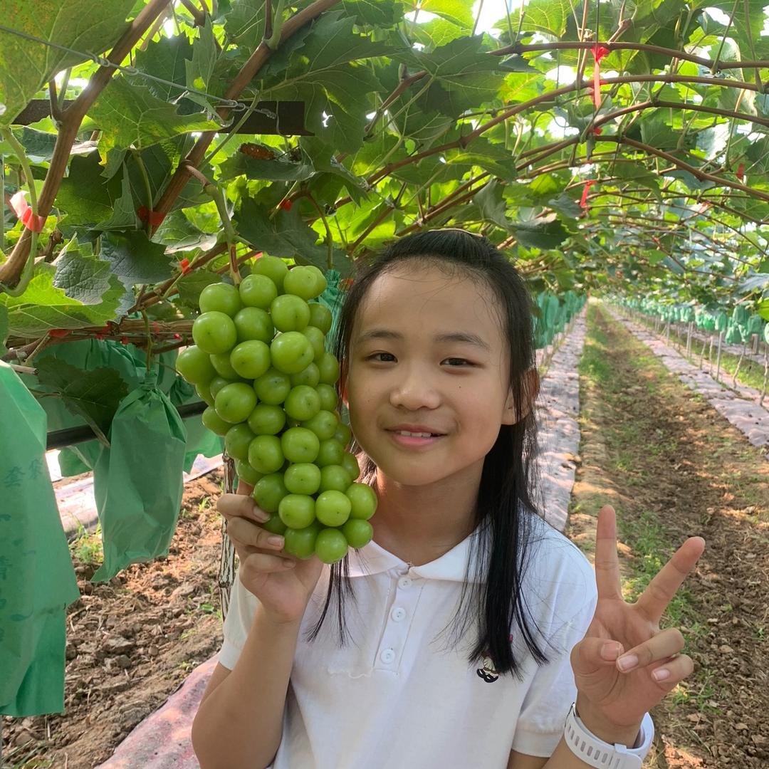 莱西市佳贝贝冷库