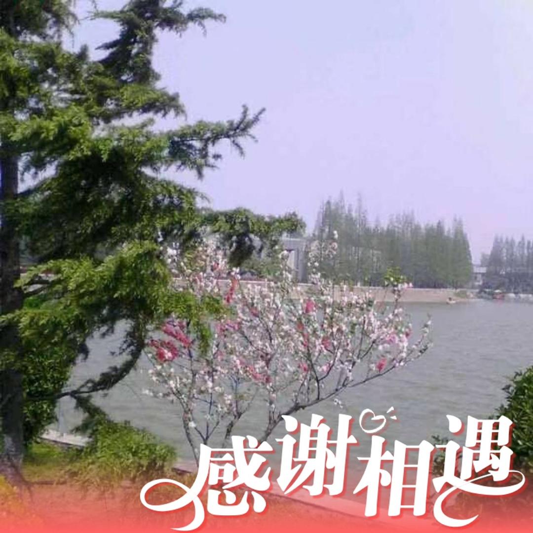 冷月无声