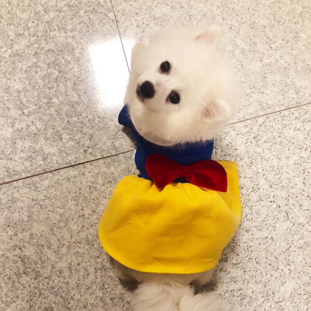 保温杯里泡枸qi