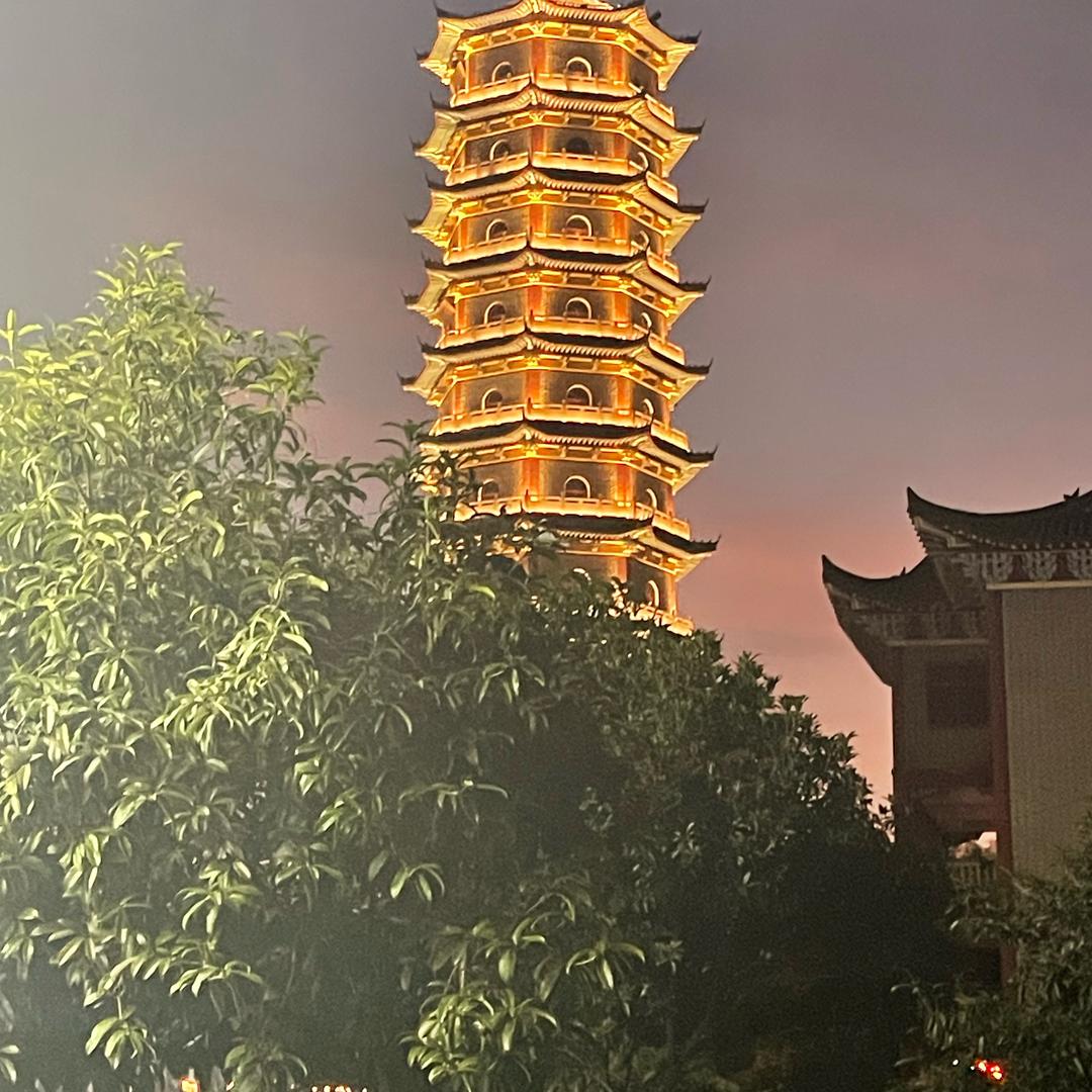 向往神鹰