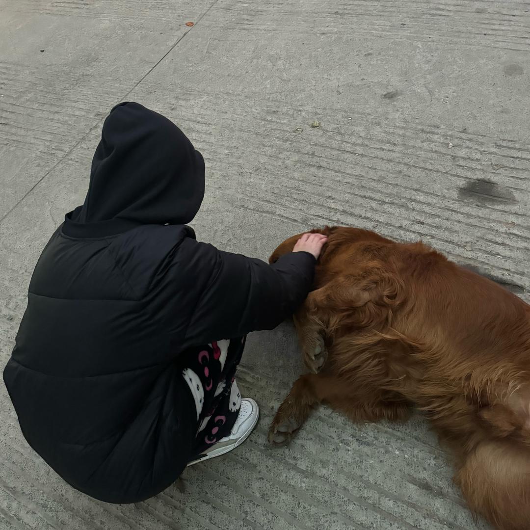 贵州吴老师在线解答志愿填报