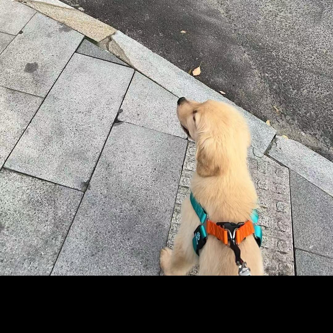 岑参👻