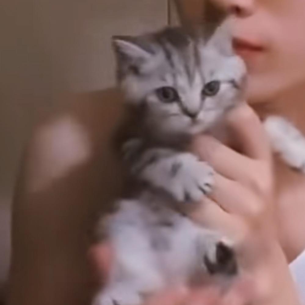 Yulin _福爱🤲