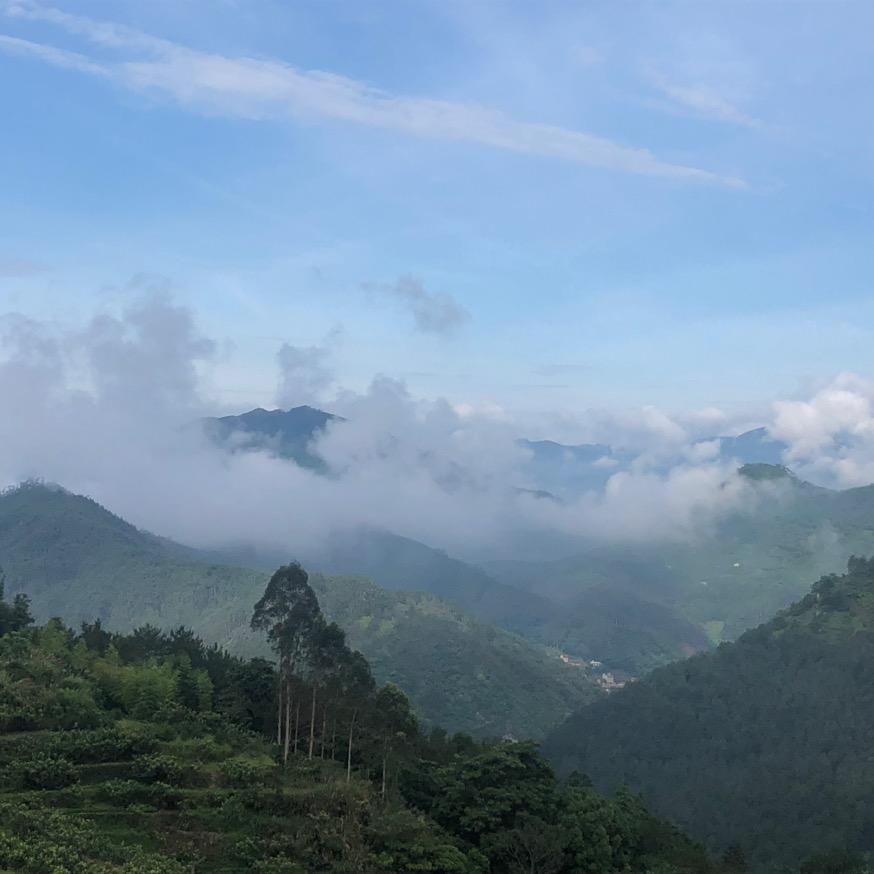 小鱼