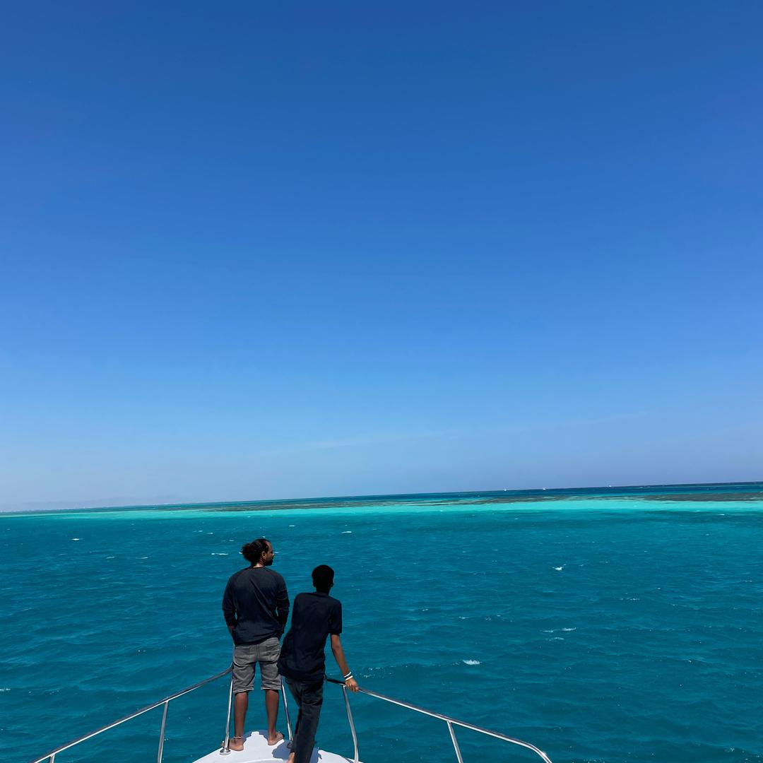 大鲨鱼🦈