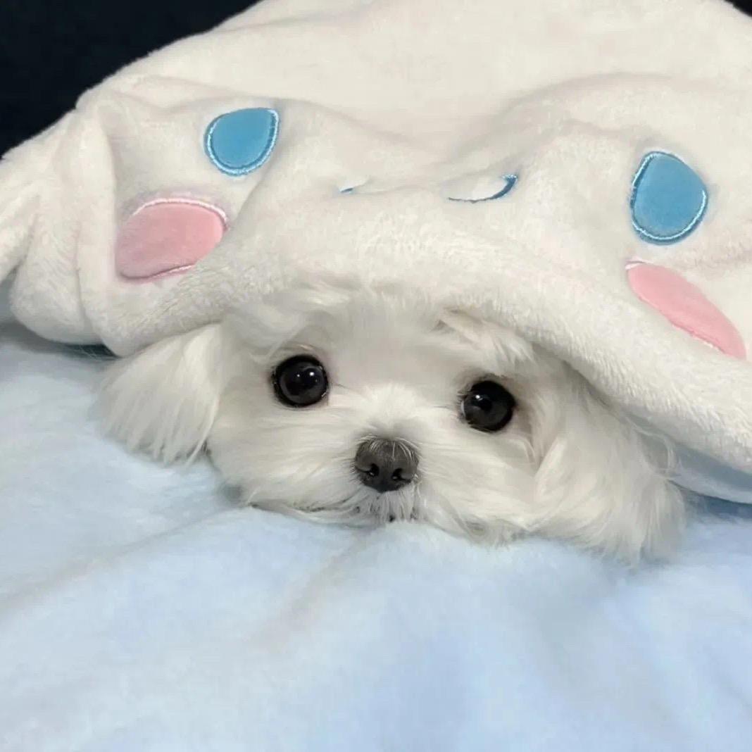 童恩en