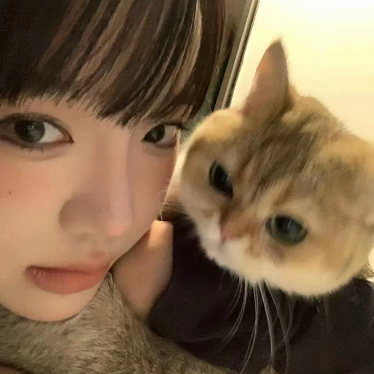 武士猫、