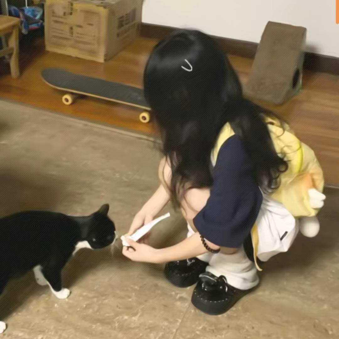 🐾