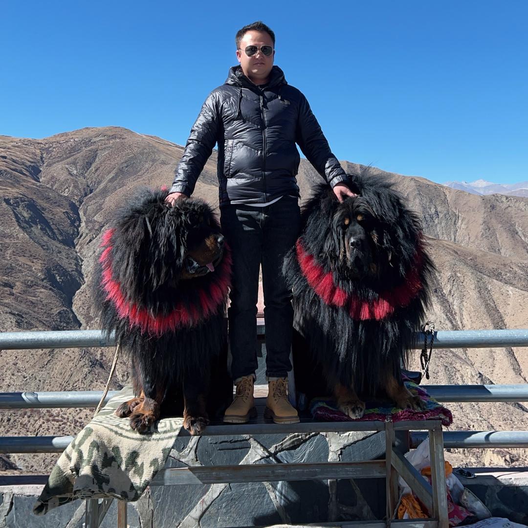 小马❤️｛新鲜虫草｝🐛