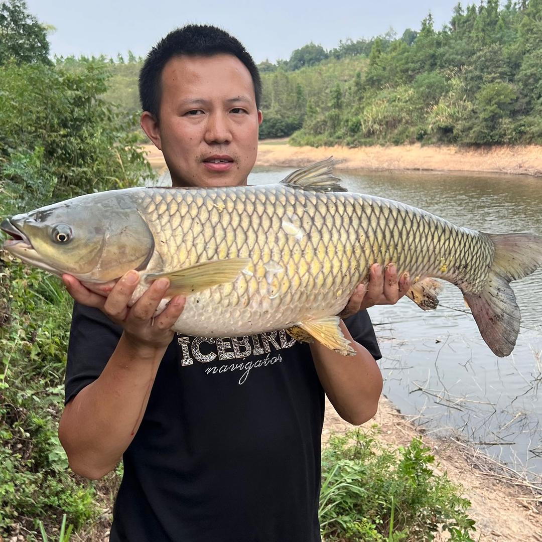 鱼饵校长—贴牌代工