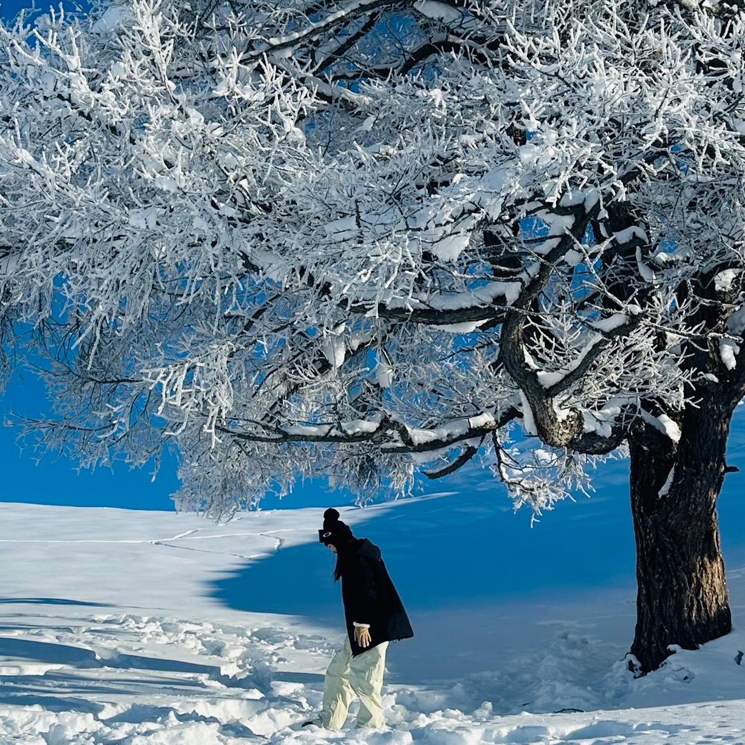 🧚🏻‍♀️shine