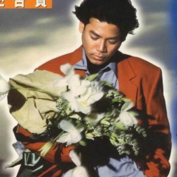 白夜散月华