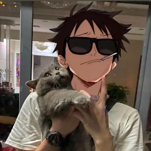 猫的云