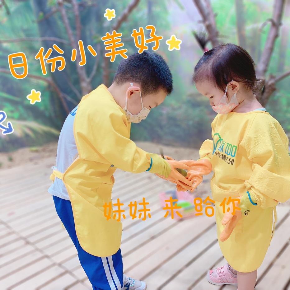 泽泽和他的妹妹（0-6岁益智玩具绘本）