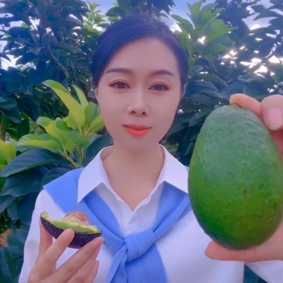 云南周周家牛油果