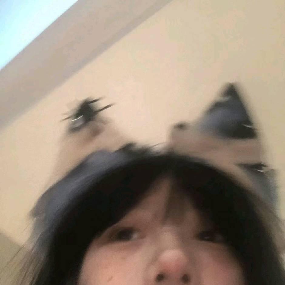 下着毛毛雨🌧️