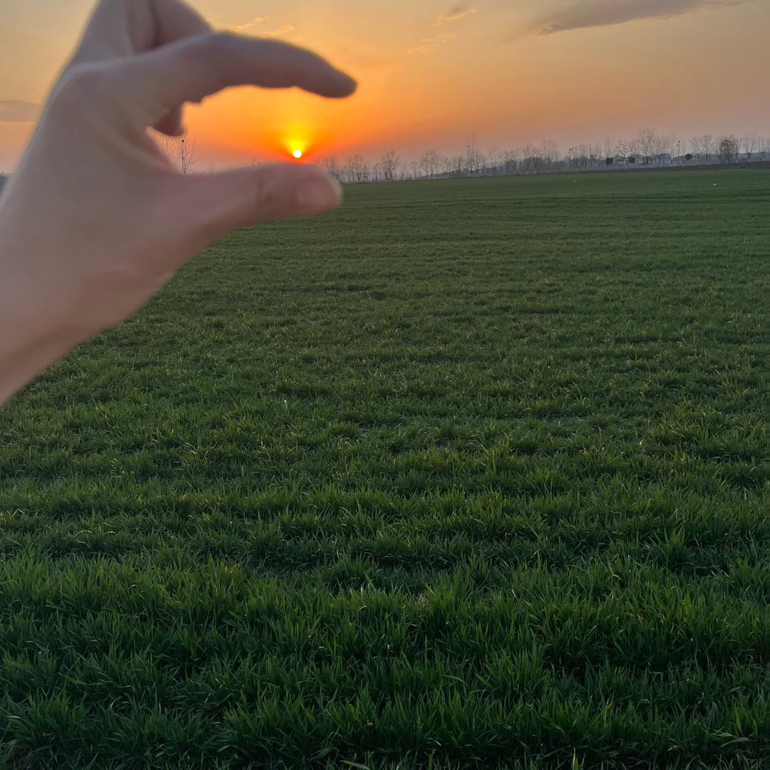 沉默🌻🌺