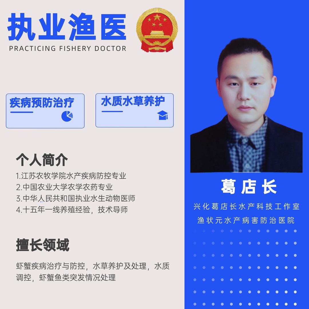葛店长说蟹