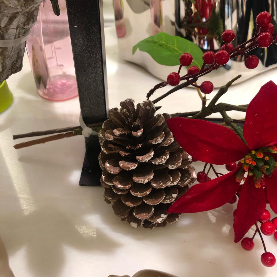 没有什么阻挡着未来